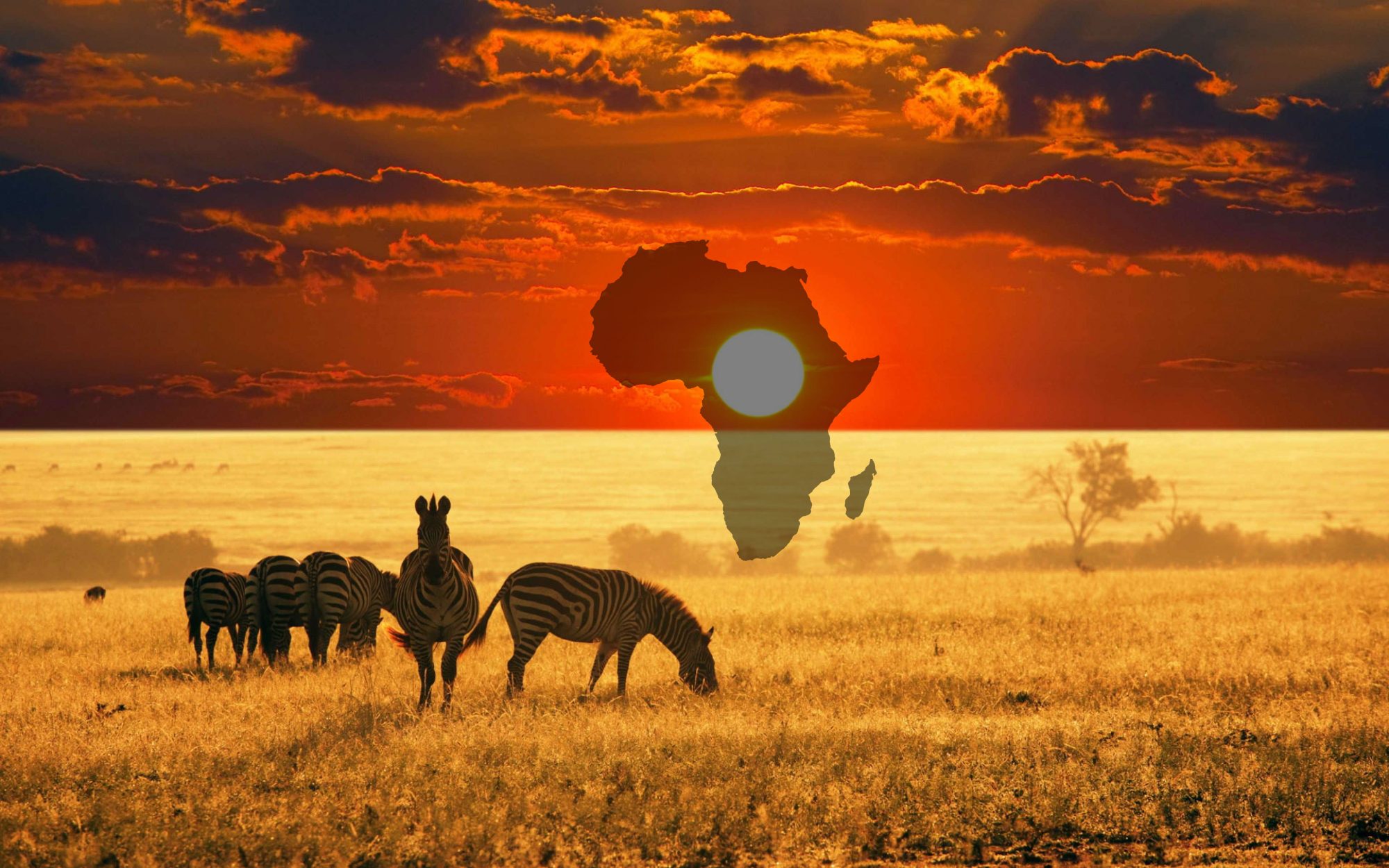 Undecided on where to go? Undecided on where to go?