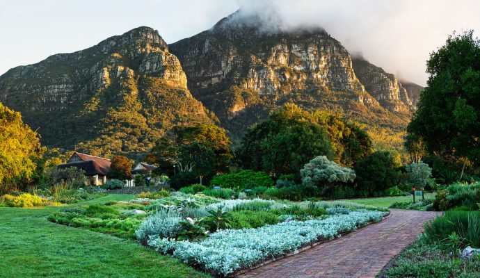 Kirstenbosch Gardens